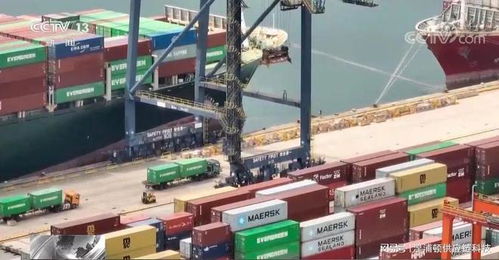 外貿訂單保衛戰 貨代企業舉步維艱，策劃創意服務破局