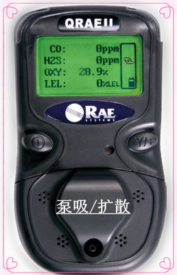 QRAE II 四合一氣體檢測儀【PGM-2400】——機(jī)電商情網(wǎng)樣本解讀
